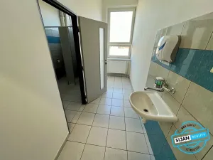 Pronájem kanceláře, Opava, Vrchní, 22 m2