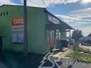 Prodej obchodního prostoru, Zborovy, 233 m2