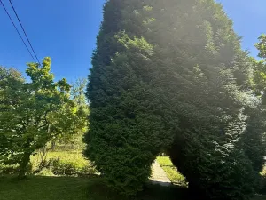 Prodej zahrady, Orlová, Dr. M. Tyrše, 1537 m2