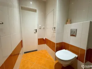 Pronájem bytu 1+1, Olomouc, Foerstrova, 40 m2