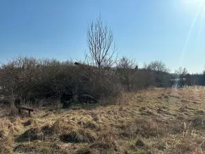 Prodej komerčního pozemku, Lipník nad Bečvou, 29279 m2