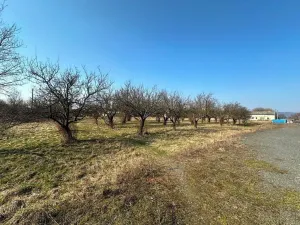 Prodej skladu, Lipník nad Bečvou, 2492 m2