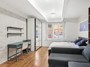 Pronájem bytu 1+1, Praha - Žižkov, Čajkovského, 36 m2