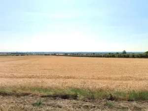 Prodej pole, Olomouc, 29414 m2