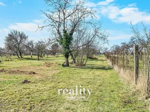 Prodej pozemku pro bydlení, Nový Šaldorf-Sedlešovice, 3000 m2