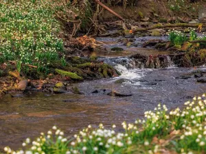 Prodej chaty, Skorotice, 48 m2