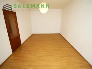 Pronájem bytu 1+1, Plzeň, K Pecím, 46 m2