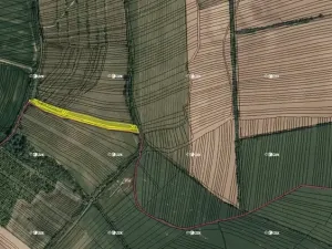 Prodej podílu pole, Boršice, 8735 m2