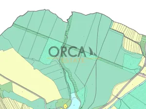 Prodej louky, Březolupy, 1729 m2