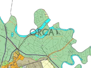 Prodej louky, Běleč nad Orlicí, 15624 m2