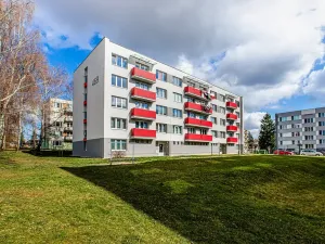Prodej bytu 2+1, Veselí nad Lužnicí, Pod Markem, 64 m2