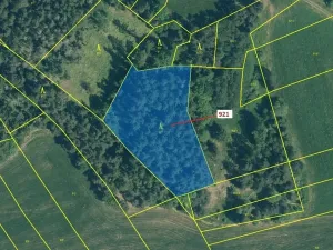 Dražba lesa, Kovčín, 4401 m2