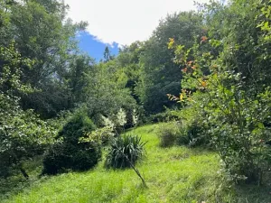 Pronájem zahrady, Křivoklát, 770 m2