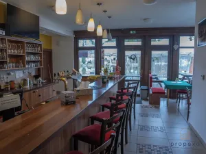 Prodej rodinného domu, Chlum u Třeboně, 462 m2