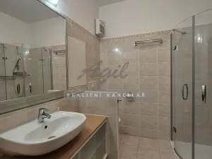 Pronájem bytu 1+kk, Brno, 50 m2