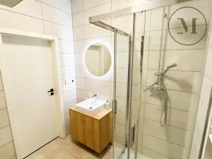 Pronájem bytu 1+kk, České Budějovice, Družstevní, 30 m2