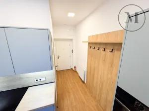 Pronájem bytu 1+kk, České Budějovice, Družstevní, 30 m2