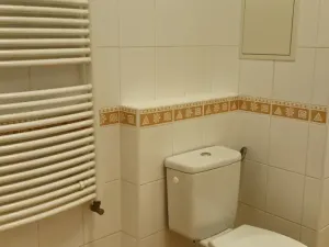 Pronájem bytu 1+kk, Praha - Strašnice, Názovská, 39 m2