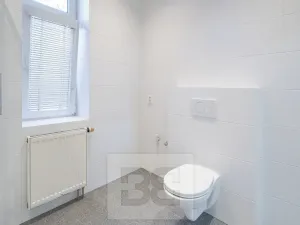 Pronájem bytu 3+1, Praha - Libeň, Na stráži, 110 m2