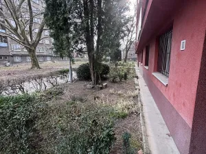 Pronájem bytu 1+kk, Ostrava - Hrabůvka, Krakovská, 21 m2