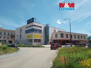 Pronájem obchodního prostoru, Benešov, Vnoučkova, 108 m2
