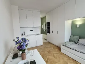 Pronájem bytu 1+kk, Pardubice - Zelené Předměstí, Palackého třída, 21 m2