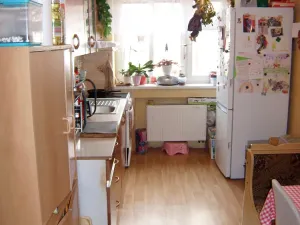 Prodej bytu 2+1, Zámrsk, 57 m2