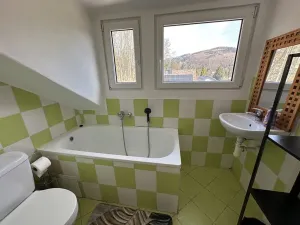 Pronájem bytu 1+1, Velké Hamry, 41 m2