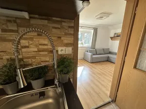 Pronájem bytu 1+1, Velké Hamry, 41 m2