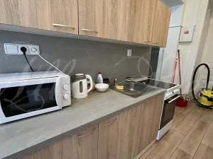 Pronájem bytu 5+kk, Brno - Ponava, Pionýrská, 15 m2