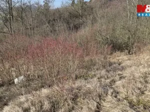 Prodej zahrady, Štětí, 1018 m2