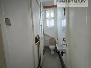 Pronájem vily, Plzeň, Čermákova, 192 m2