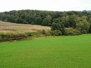 Dražba pole, Kostelec nad Černými lesy, 12366 m2