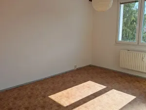 Pronájem bytu 1+1, Nový Jičín, Dlouhá, 35 m2