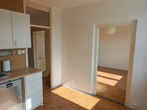 Pronájem bytu 1+1, Nový Jičín, Dlouhá, 35 m2