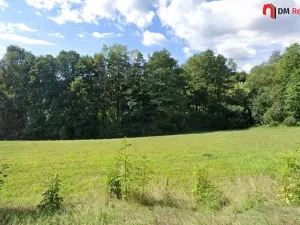 Prodej lesa, Zlatá Olešnice, 1248 m2