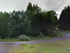 Prodej lesa, Zlatá Olešnice, 1248 m2