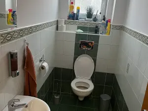 Prodej rodinného domu, Netín, 180 m2