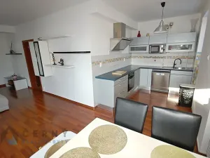 Pronájem bytu 3+kk, Liberec, Pod Rušičkou, 110 m2