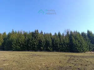 Prodej louky, Křižánky, 1000 m2