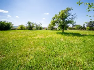 Prodej pozemku pro bydlení, Bučovice, Náhorní, 7851 m2