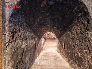 Prodej vinného sklepa, Brod nad Dyjí, 70 m2