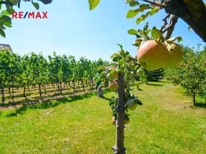 Prodej zahrady, Mikulov, 997 m2