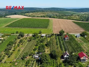 Prodej zahrady, Mikulov, 997 m2