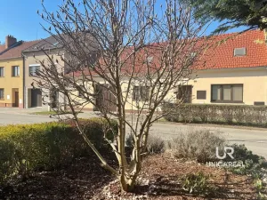 Pronájem rodinného domu, Kobylnice, 110 m2