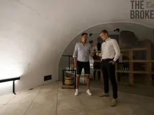 Prodej ubytování, Mikulov, Koněvova, 579 m2