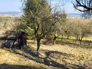 Prodej pozemku, Rudoltice, 2215 m2