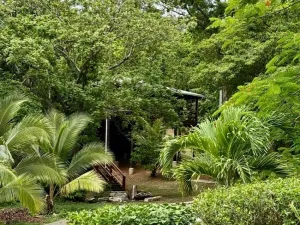 Prodej bytu 3+kk, Coxen Hole, Roatán, Honduras, 111 m2