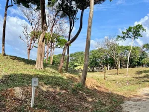 Prodej pozemku, Coxen Hole, Roatán, Honduras, 847 m2