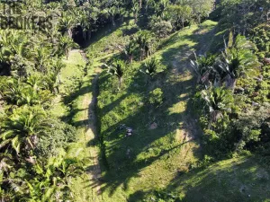 Prodej pozemku, Coxen Hole, Roatán, Honduras, 400 m2